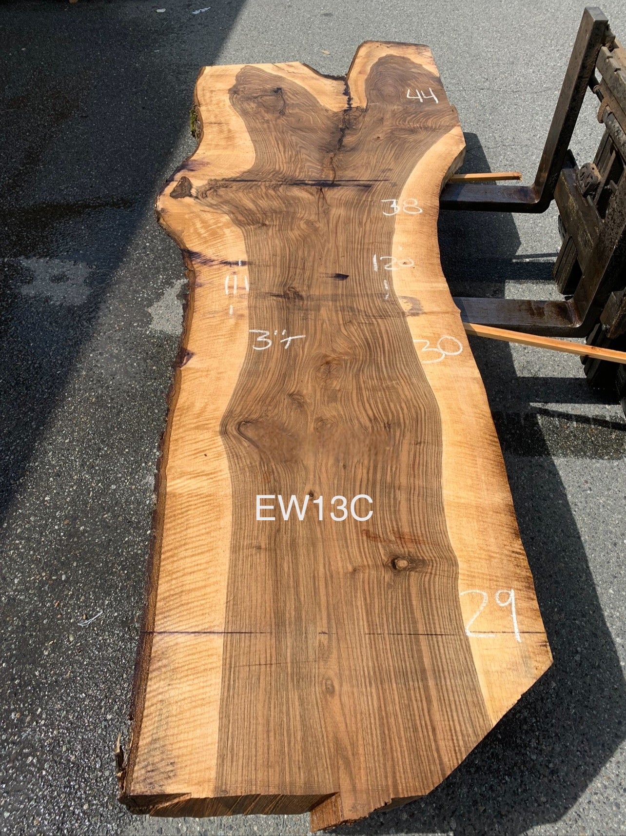 EW13C