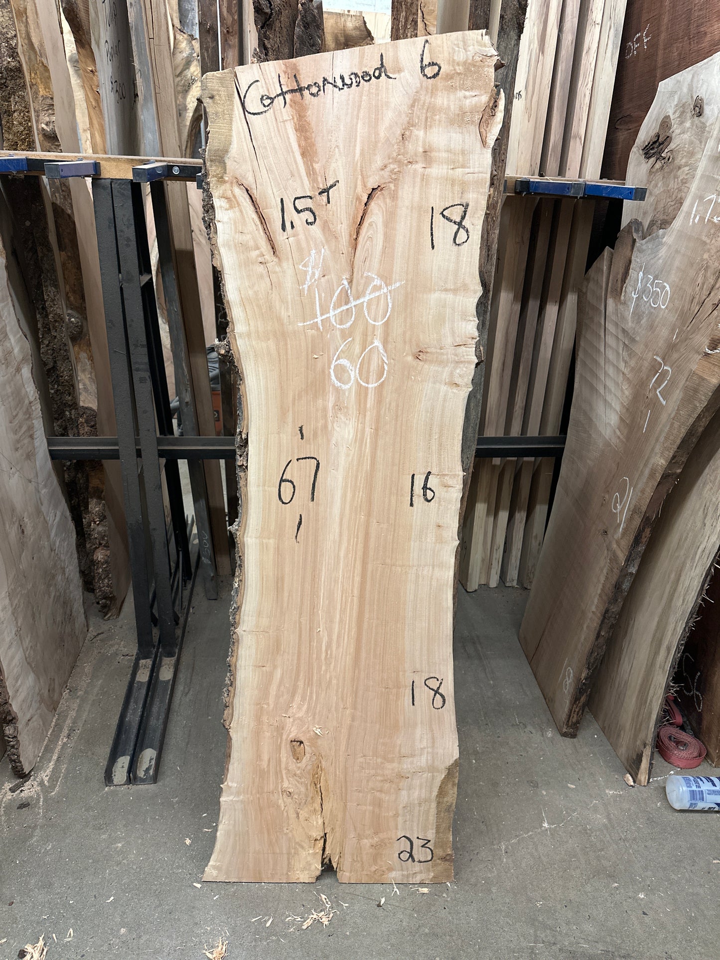 Cottonwood6