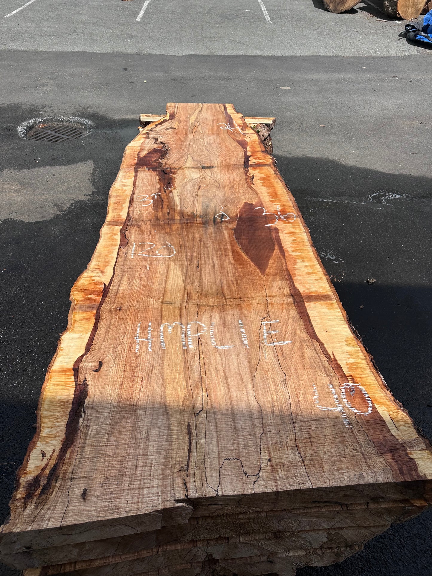 HMPL1E