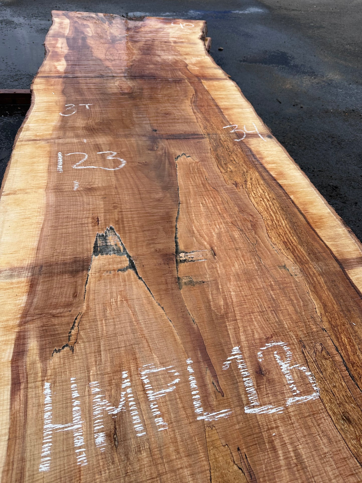 HMPL1B