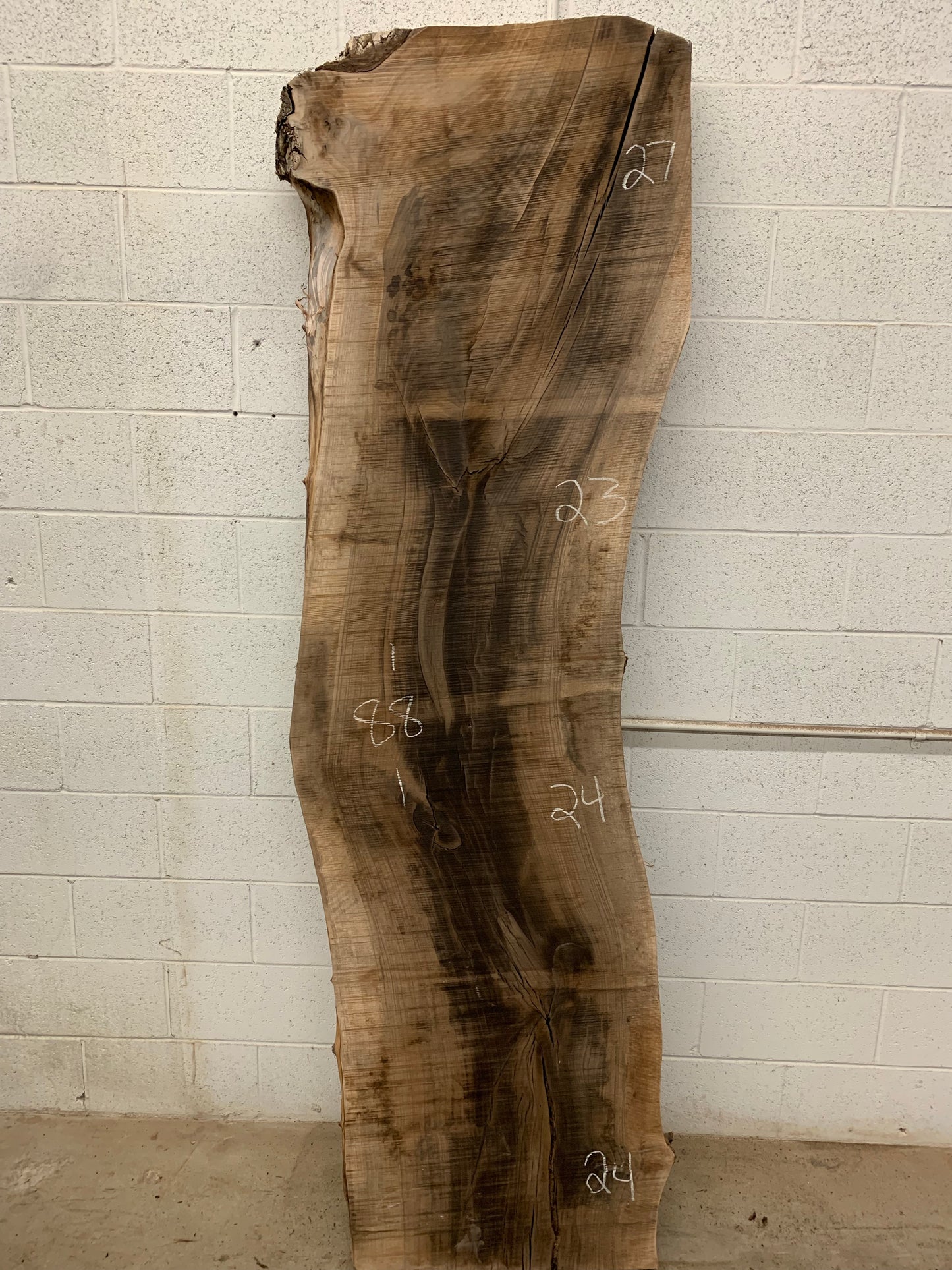 English walnut #2-D