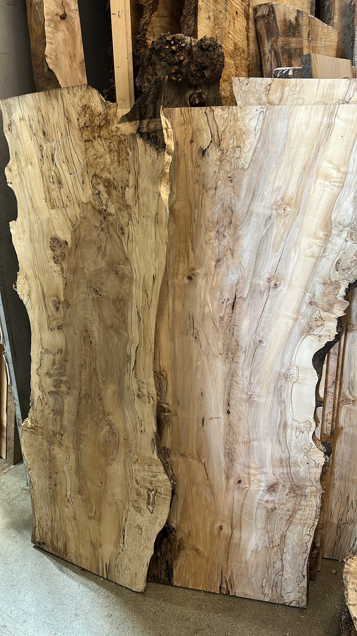 Burly & Spalted