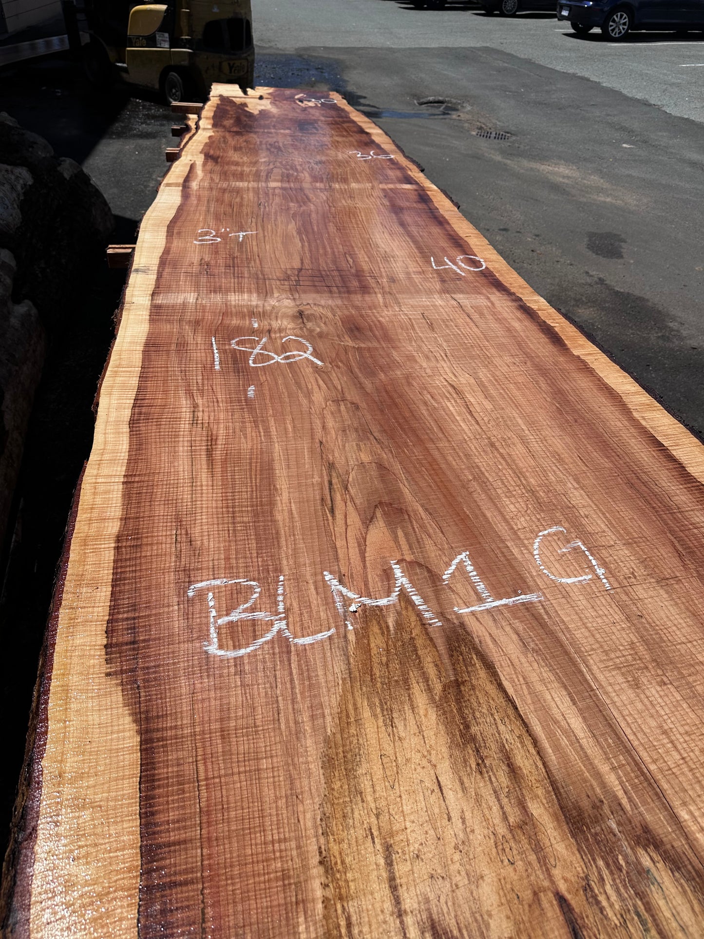 BLM1G