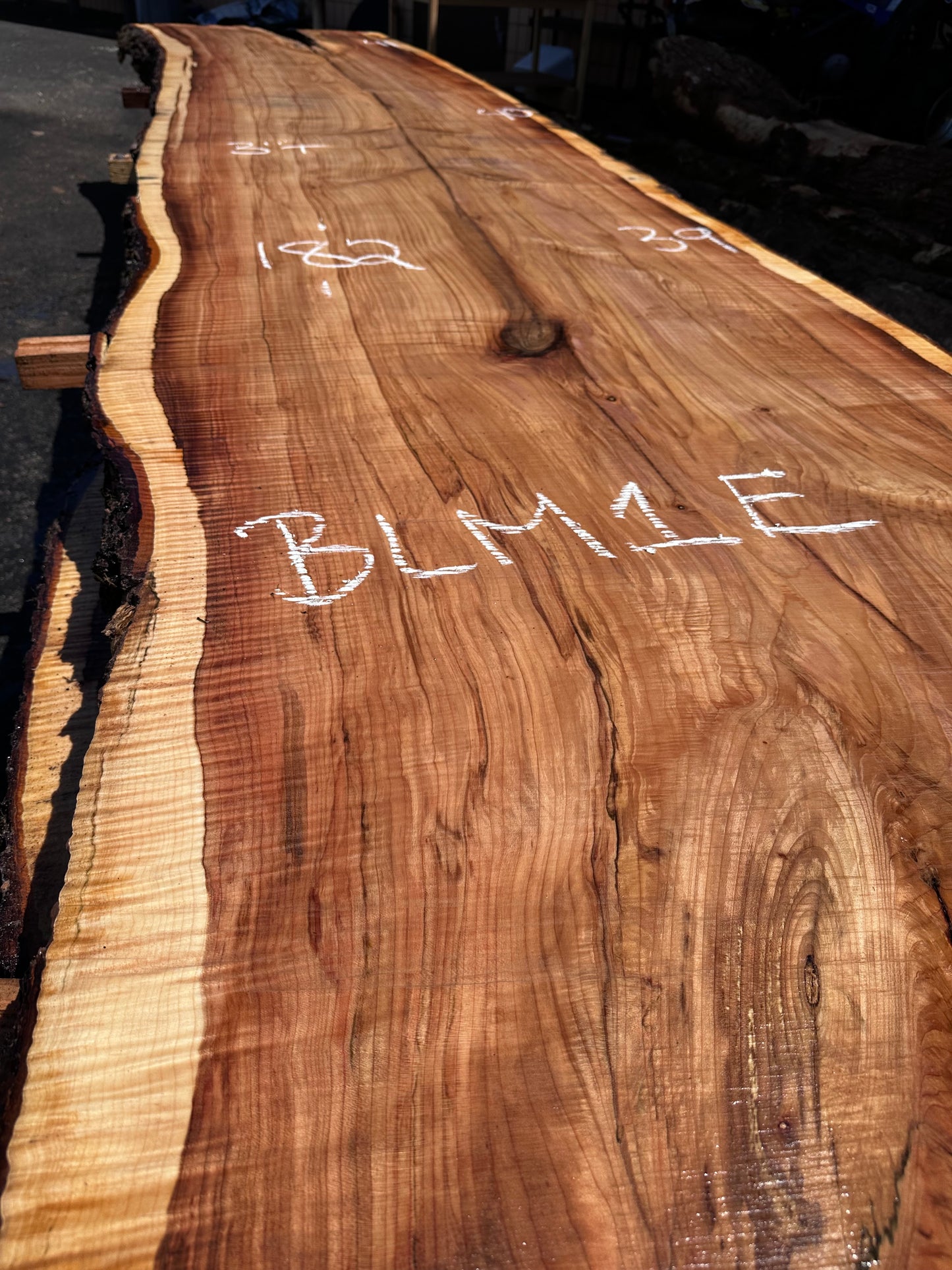 BLM1E