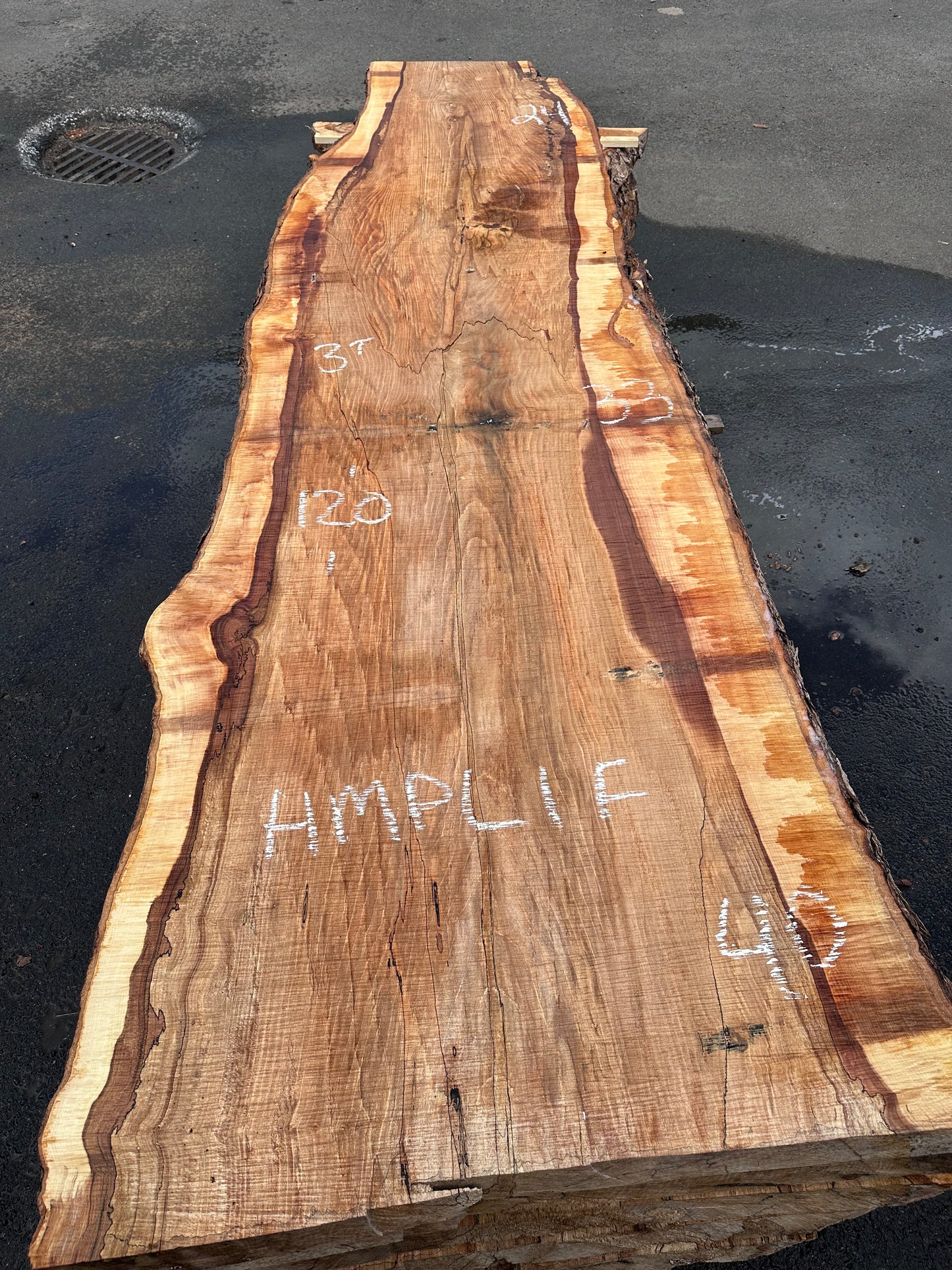 HMPL1F