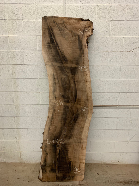 English walnut #2-C