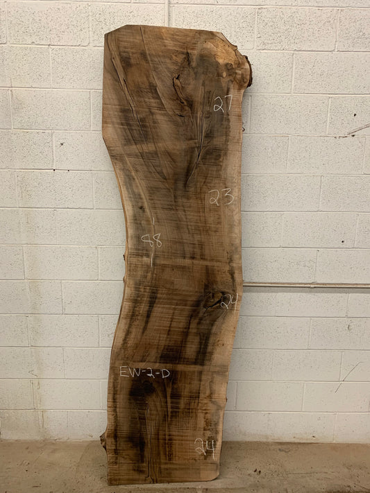English walnut #2-D